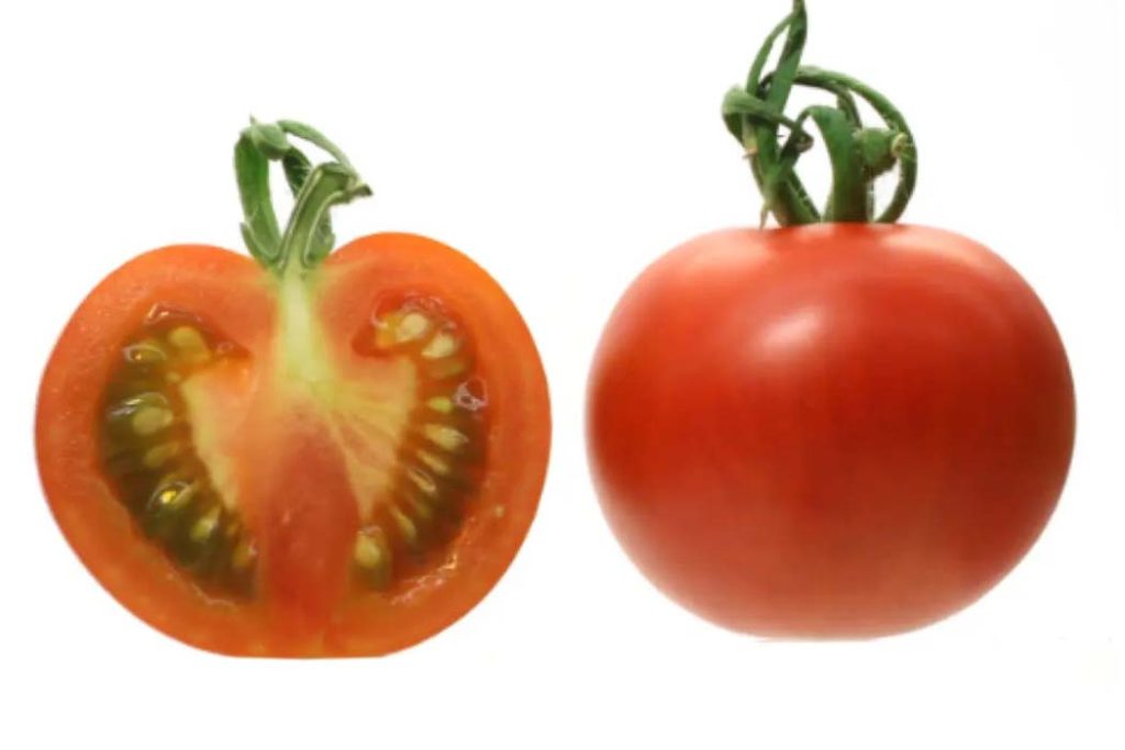 رنگاوری گوجه فرنگی