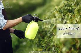 تاثیر جلبک بر مزارع گوجه