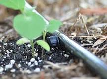 مزایای ابیاری قطره ای