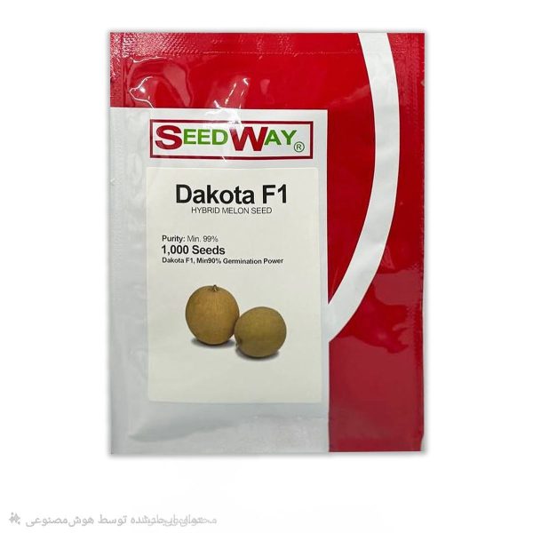 بذر ملون داکوتا