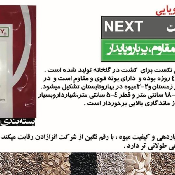 بذر خیار گلخانه ای نکست