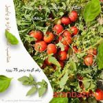 قیمت بذر گوجه فرنگی رنجر