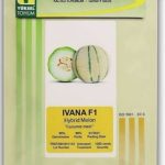 بذر طالبی ایوانا